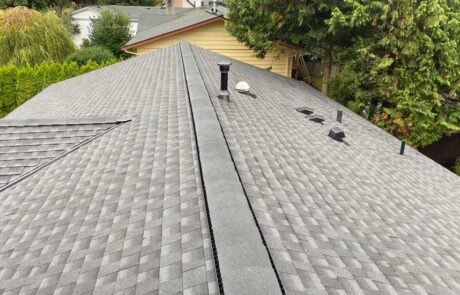 shingle roof toronto